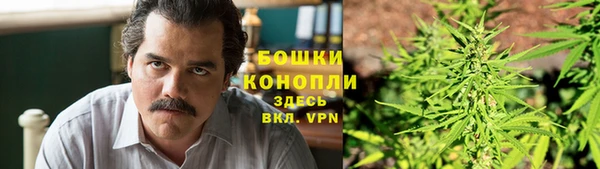 гашик Бородино