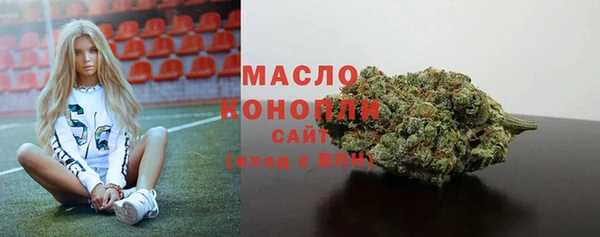 гашик Бородино