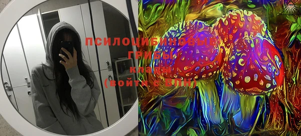 гашик Бородино