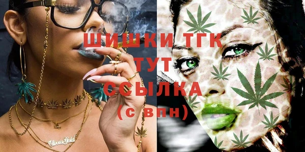 гашик Бородино