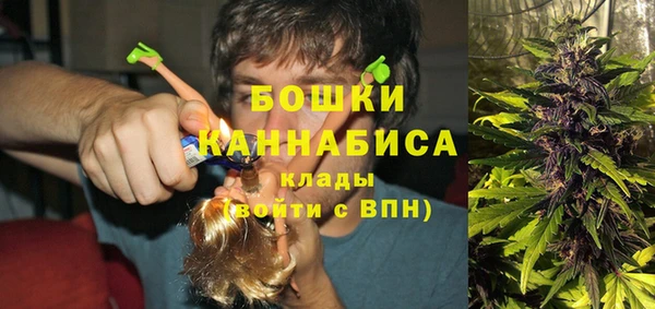 гашик Бородино