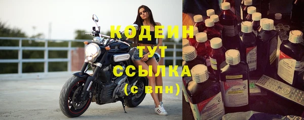 гашик Бородино