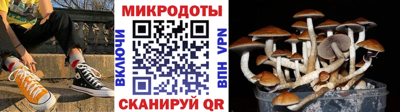 Галлюциногенные грибы MAGIC MUSHROOMS Красногорск
